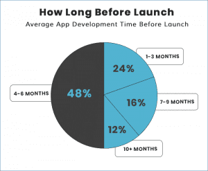 Average app development time before launch